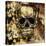 Gothic Image of a Human Skull-Valentina Photos-Stretched Canvas