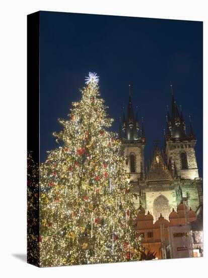 Gothic Tyn Church, Christmas Tree at Twilight in Old Town Square, Stare Mesto, Prague-Richard Nebesky-Premier Image Canvas