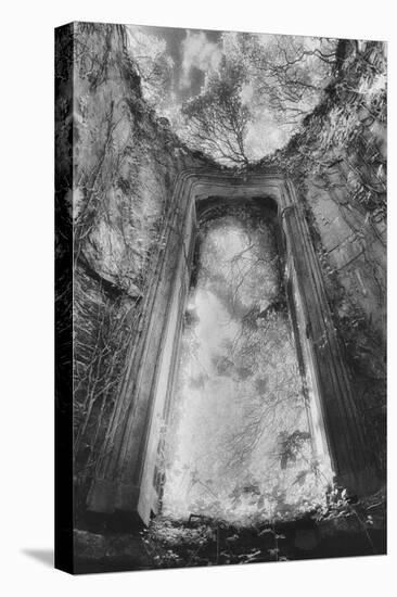 Gothic Window, Castle Bernard, County Cork, Ireland-Simon Marsden-Premier Image Canvas