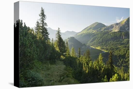 Gottschallalm, Radstadter Tauern, Salzburg, Austria-Rainer Mirau-Premier Image Canvas