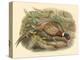 Gould Pheasants I-John Gould-Stretched Canvas