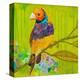Gouldian Finch-null-Stretched Canvas