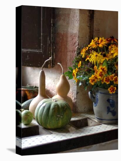 Gourds and Flowers in Kitchen in Chateau de Cormatin, Burgundy, France-Lisa S. Engelbrecht-Premier Image Canvas