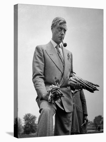 Governor of the Bahamas Duke of Windsor Holding Asparagus Picked by Bahamian Laborers During WWII-Peter Stackpole-Premier Image Canvas