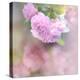 Graceful Floral-Sarah Gardner-Premier Image Canvas