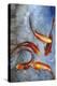 Graceful Koi I-Tim O'toole-Stretched Canvas