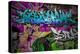 Graffiti Wall Urban Art-SergWSQ-Stretched Canvas