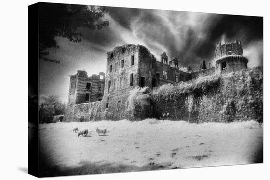 Gramont Chateau, Bidache, the Pyrenees, France-Simon Marsden-Premier Image Canvas