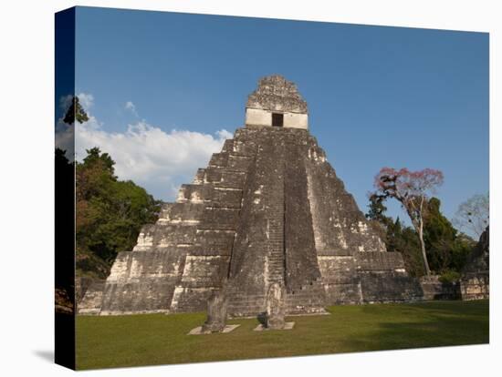 Gran Plaza and Temple I, Mayan Archaeological Site, Tikal, Guatemala-Sergio Pitamitz-Premier Image Canvas