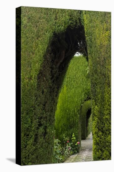 Granada, Spain, Alhambra, Famous Hedges of Gardens of the Generalife-Bill Bachmann-Premier Image Canvas