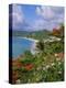 Grand Anse Beach, Grenada, Caribbean, West Indies-Robert Harding-Premier Image Canvas