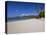 Grand Anse Beach, Grenada, Windward Islands, West Indies, Caribbean, Central America-Gavin Hellier-Premier Image Canvas