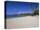 Grand Anse Beach, Grenada, Windward Islands, West Indies, Caribbean, Central America-Gavin Hellier-Premier Image Canvas