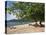 Grand Anse Beach, Grenada, Windward Islands, West Indies, Caribbean, Central America-Harding Robert-Premier Image Canvas