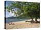 Grand Anse Beach, Grenada, Windward Islands, West Indies, Caribbean, Central America-Harding Robert-Premier Image Canvas