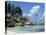 Grand Anse, La Digue, Seychelles, Indian Ocean, Africa-Robert Harding-Premier Image Canvas