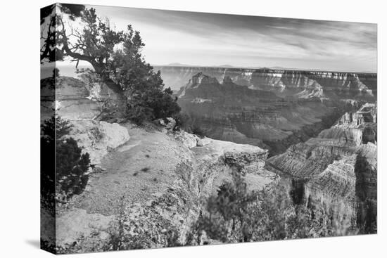 Grand Canyon 01-Gordon Semmens-Premier Image Canvas