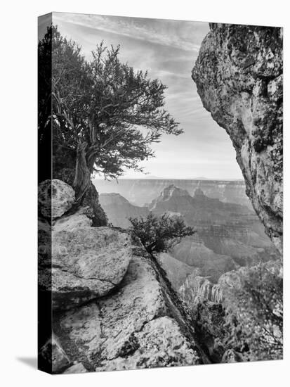 Grand Canyon 07-Gordon Semmens-Premier Image Canvas