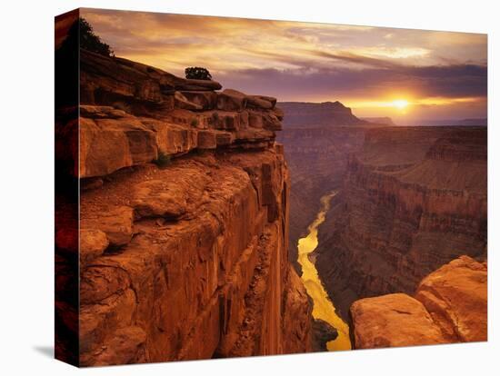 Grand Canyon from Toroweap Point-Ron Watts-Premier Image Canvas
