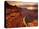 Grand Canyon from Toroweap Point-Ron Watts-Premier Image Canvas