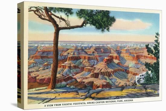 Grand Canyon Nat'l Park, Arizona - Yavapai Footpath View of Canyon-Lantern Press-Stretched Canvas
