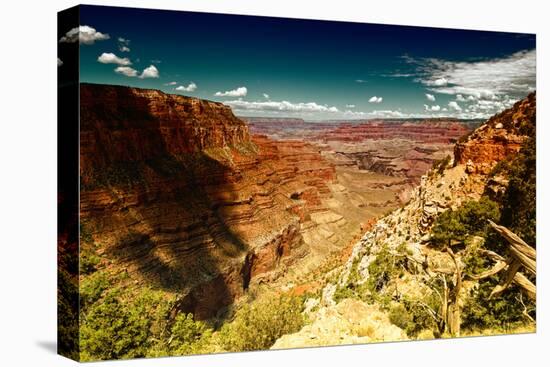 Grand Canyon - National Park - Arizona - United States-Philippe Hugonnard-Premier Image Canvas