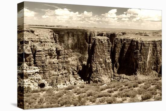 Grand Canyon - National Park - Arizona - United States-Philippe Hugonnard-Premier Image Canvas