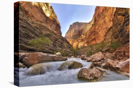 Grand Canyon National Park, Arizona, USA-Matt Freedman-Premier Image Canvas