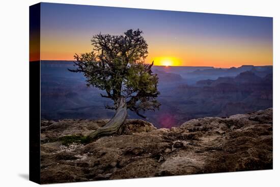 Grand Canyon National Park Arizona-pxhidalgo-Premier Image Canvas