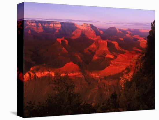 Grand Canyon National Park, AZ-Gary Conner-Premier Image Canvas