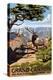 Grand Canyon National Park - Elk & Point Imperial-Lantern Press-Stretched Canvas