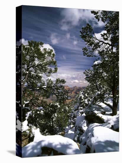 Grand Canyon National Park, Trees Covered with Snow, Arizona, USA-Adam Jones-Premier Image Canvas