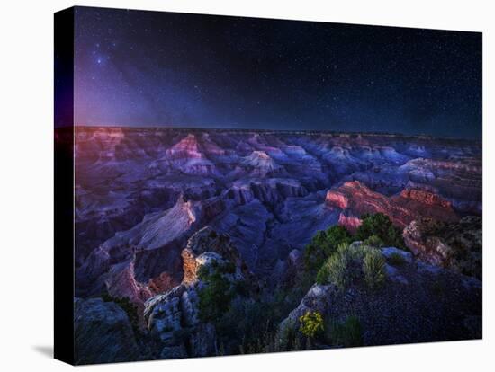 Grand Canyon Night-Juan Pablo De-Premier Image Canvas