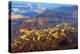 Grand Canyon-Heidi Westum-Premier Image Canvas