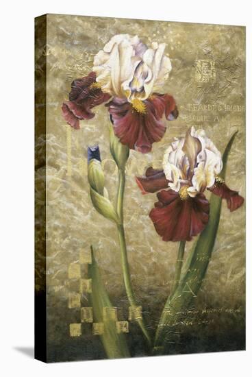 Grand Irises-Fangyu Meng-Stretched Canvas