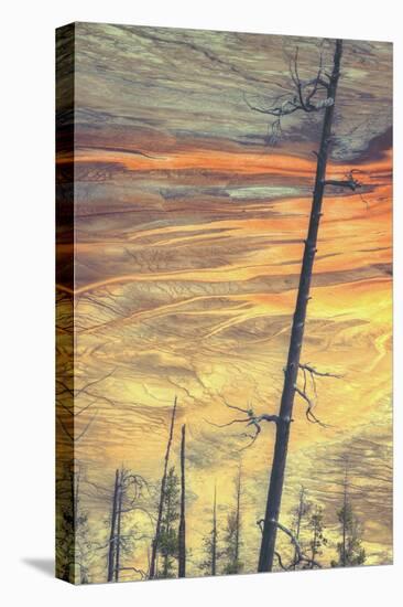 Grand Prismatic Detail-Vincent James-Premier Image Canvas