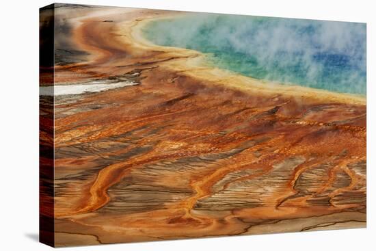 Grand Prismatic Spring, Midway Geyser Basin, Yellowstone National Park, Montana, Wyoming-Adam Jones-Premier Image Canvas