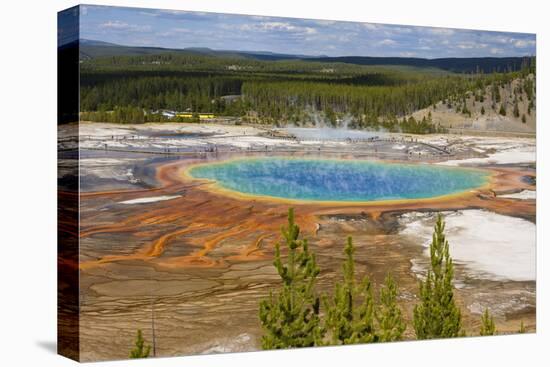 Grand Prismatic Spring, Midway Geyser Basin, Yellowstone National Park, Wyoming, U.S.A.-Gary Cook-Premier Image Canvas