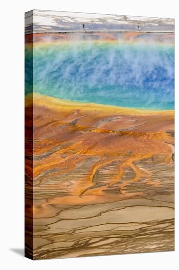 Grand Prismatic Spring, Midway Geyser Basin, Yellowstone National Park, Wyoming, U.S.A.-Gary Cook-Premier Image Canvas