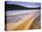 Grand Prismatic Spring, Midway Geyser Basin, Yellowstone National Park, Wyoming-Geoff Renner-Premier Image Canvas