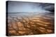 Grand Prismatic Spring - Midway Geyser Basin-David Osborn-Premier Image Canvas