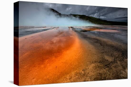 Grand Prismatic Spring - Midway Geyser Basin-David Osborn-Premier Image Canvas