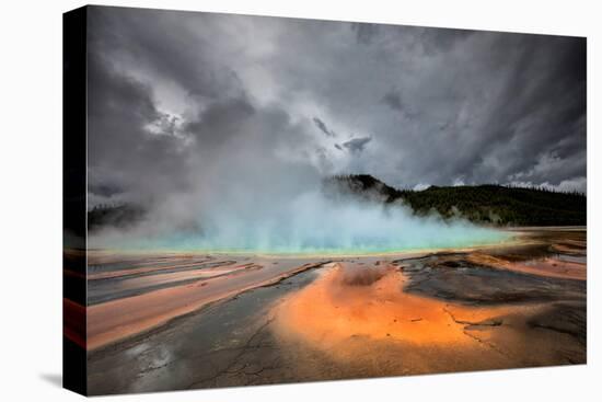 Grand Prismatic Spring - Midway Geyser Basin-David Osborn-Premier Image Canvas