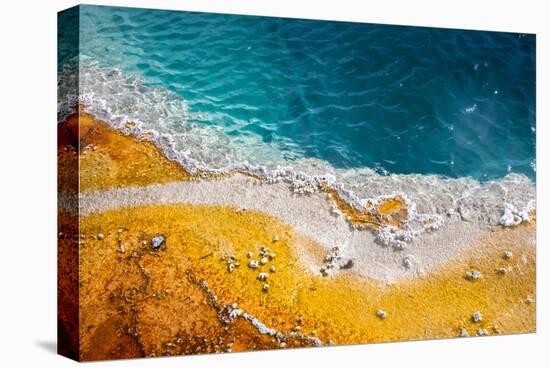 Grand Prismatic Spring, Yellowstone NP, Wyoming. Thermal Pool-Janet Muir-Premier Image Canvas