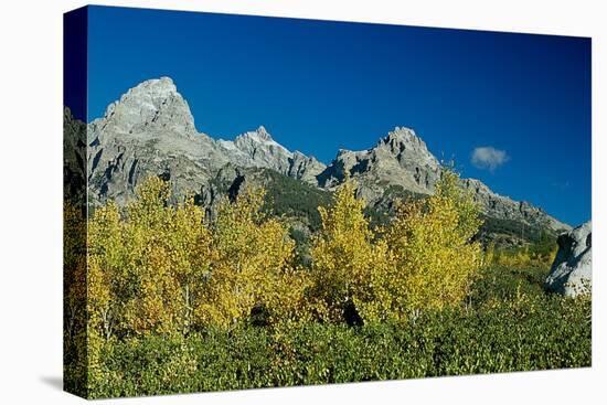 Grand Teton 10-Gordon Semmens-Premier Image Canvas