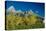 Grand Teton 10-Gordon Semmens-Premier Image Canvas