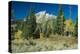 Grand Teton 11-Gordon Semmens-Premier Image Canvas