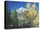 Grand Teton 12-Gordon Semmens-Premier Image Canvas