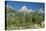 Grand Teton 13-Gordon Semmens-Premier Image Canvas