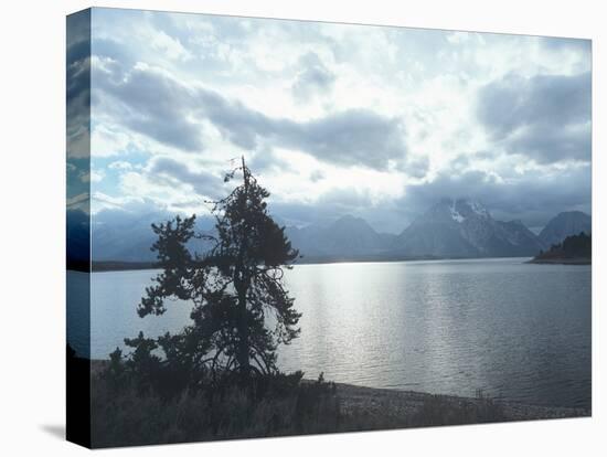 Grand Teton 16-Gordon Semmens-Premier Image Canvas